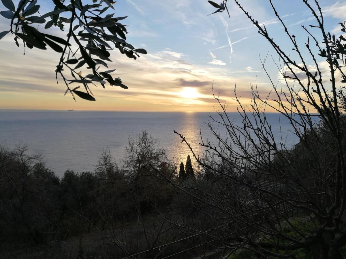 Villa Gio - Terrazza Nel Blu ベルジェッジ エクステリア 写真